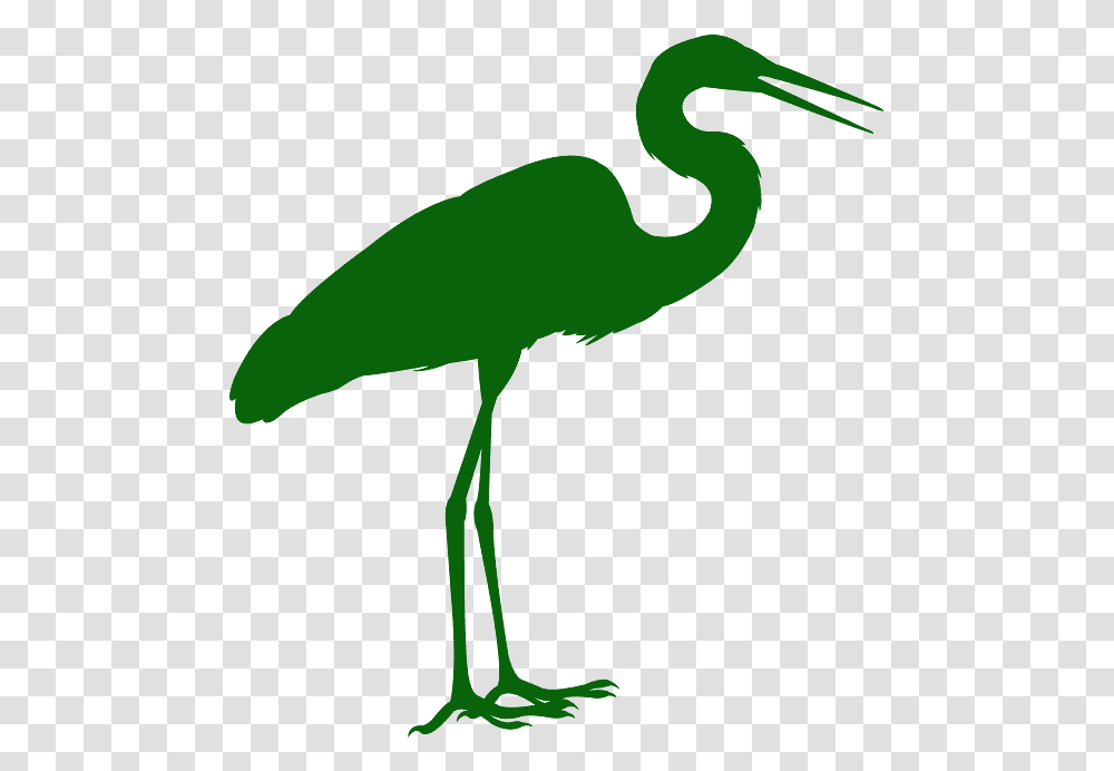Great Blue Heron, Crane Bird, Animal, Waterfowl, Stork Transparent Png