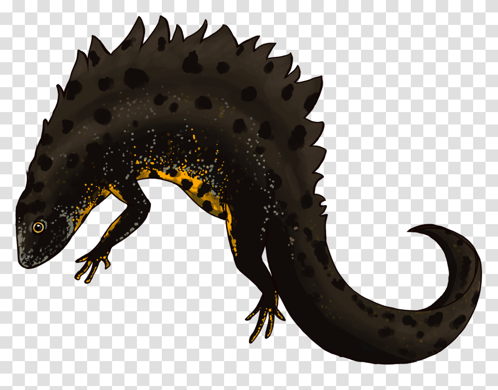 Great Crested Newt By Robyn Womack Alligator Lizard, Dragon Transparent Png