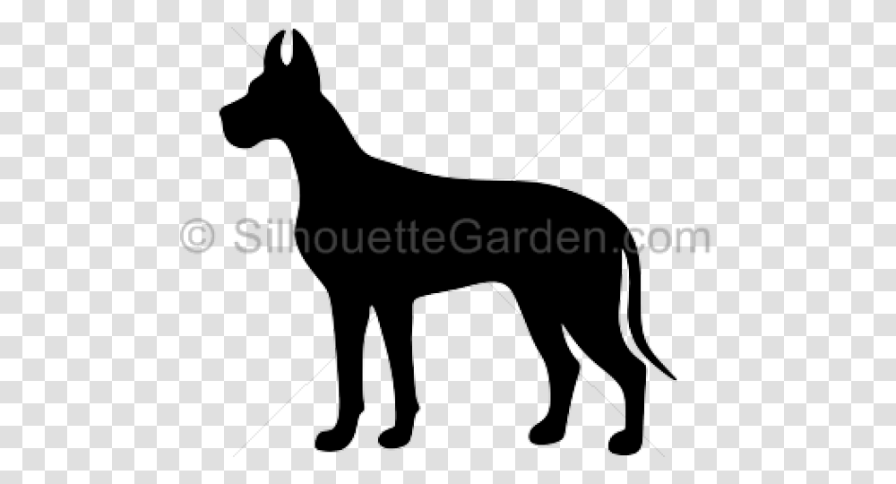 Great Dane Clipart Fawn Female, Mammal, Animal, Horse, Wildlife Transparent Png