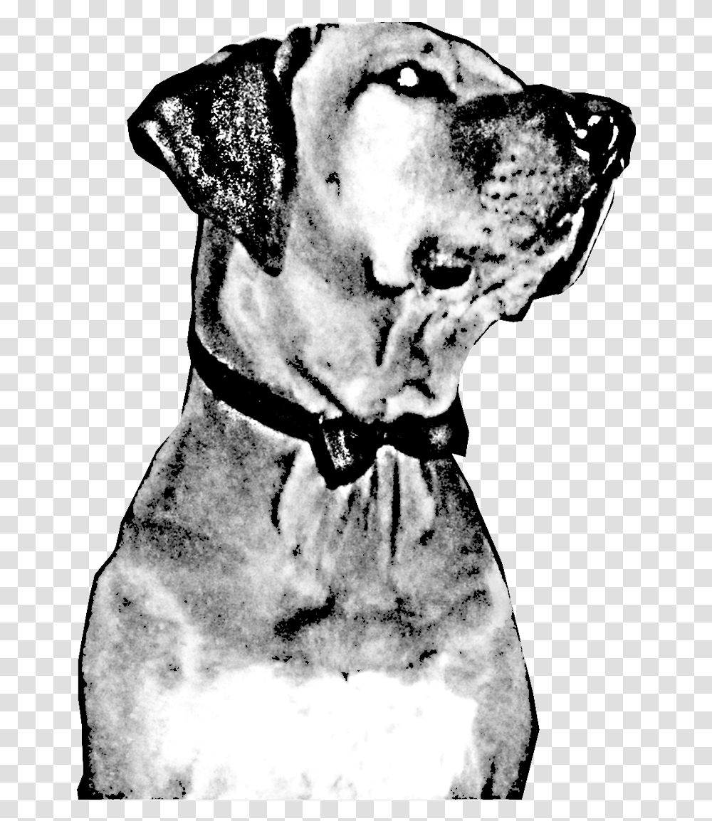 Great Dane Dalmatian Dog Dog Breed Jaw Snout Companion Dog, Snowman, Winter, Outdoors, Nature Transparent Png