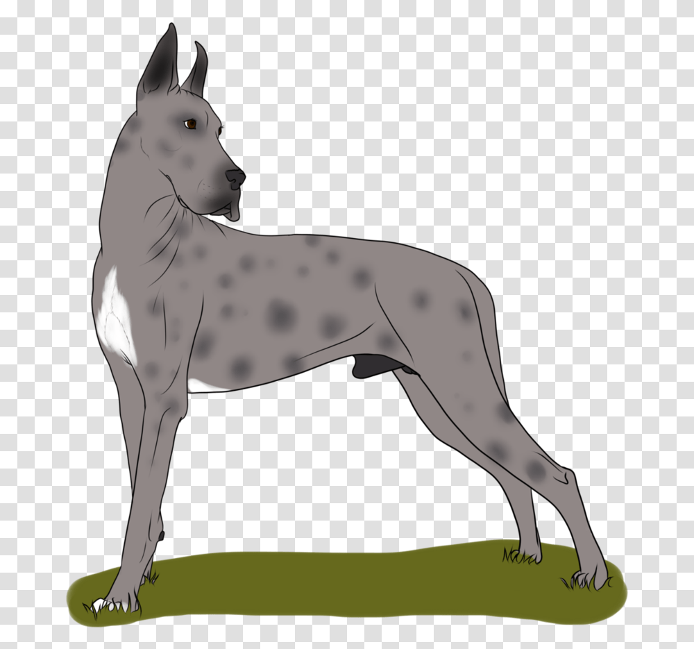 Great Dane Dog Breed Non Sporting Group Old English Terrier, Animal, Mammal, Horse, Wildlife Transparent Png