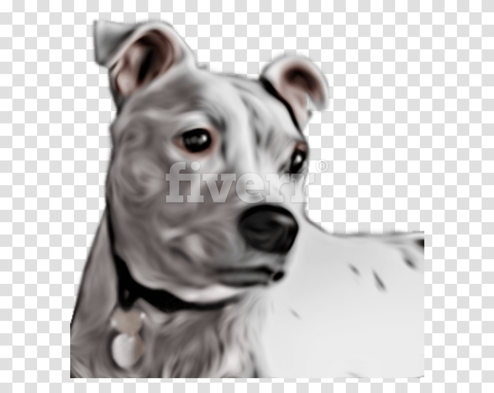 Great Dane Download American Pit Bull Terrier, Snout, Dog, Pet, Canine Transparent Png
