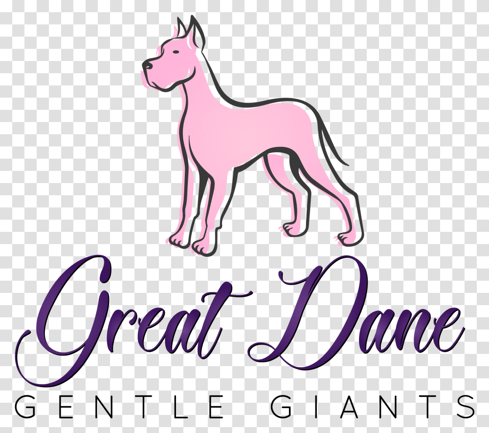 Great Dane Gentle Giants Ancient Dog Breeds, Horse, Mammal, Animal Transparent Png