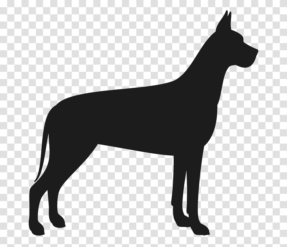 Great Dane Stamp, Mammal, Animal, Silhouette, Horse Transparent Png