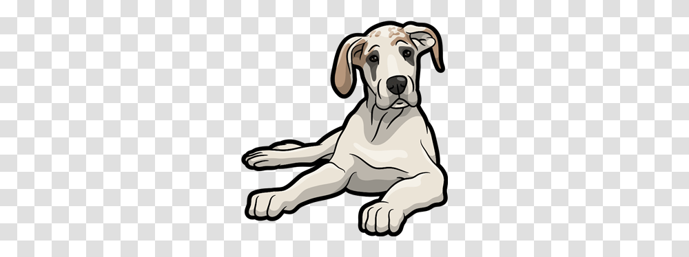 Great Danes Great Danes Are The Greatest, Canine, Mammal, Animal, Pet Transparent Png