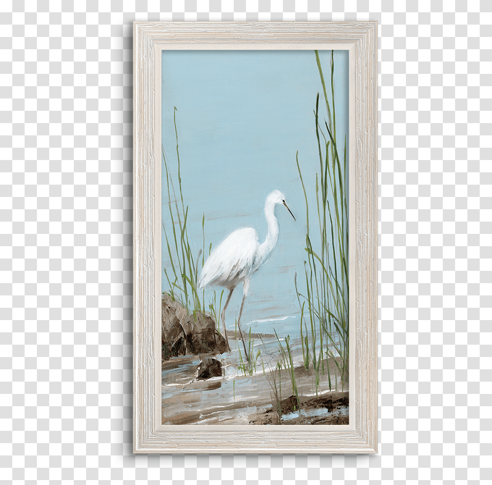 Great Egret, Bird, Animal, Waterfowl, Heron Transparent Png