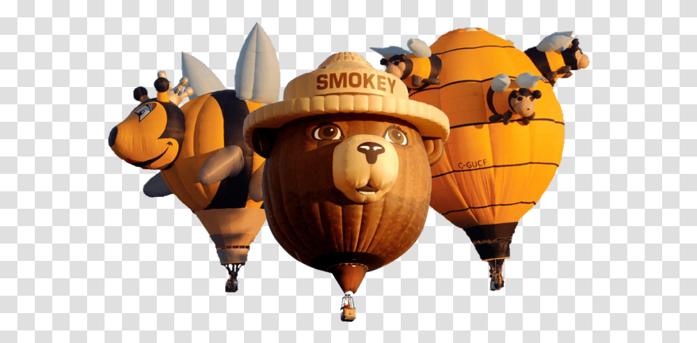 Great Falls Balloon Festival 2019, Hot Air Balloon, Aircraft, Vehicle, Transportation Transparent Png