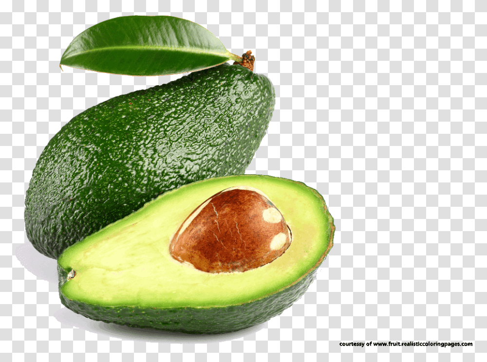 Great Fruit Free Background Avocado, Plant, Food, Pineapple Transparent Png