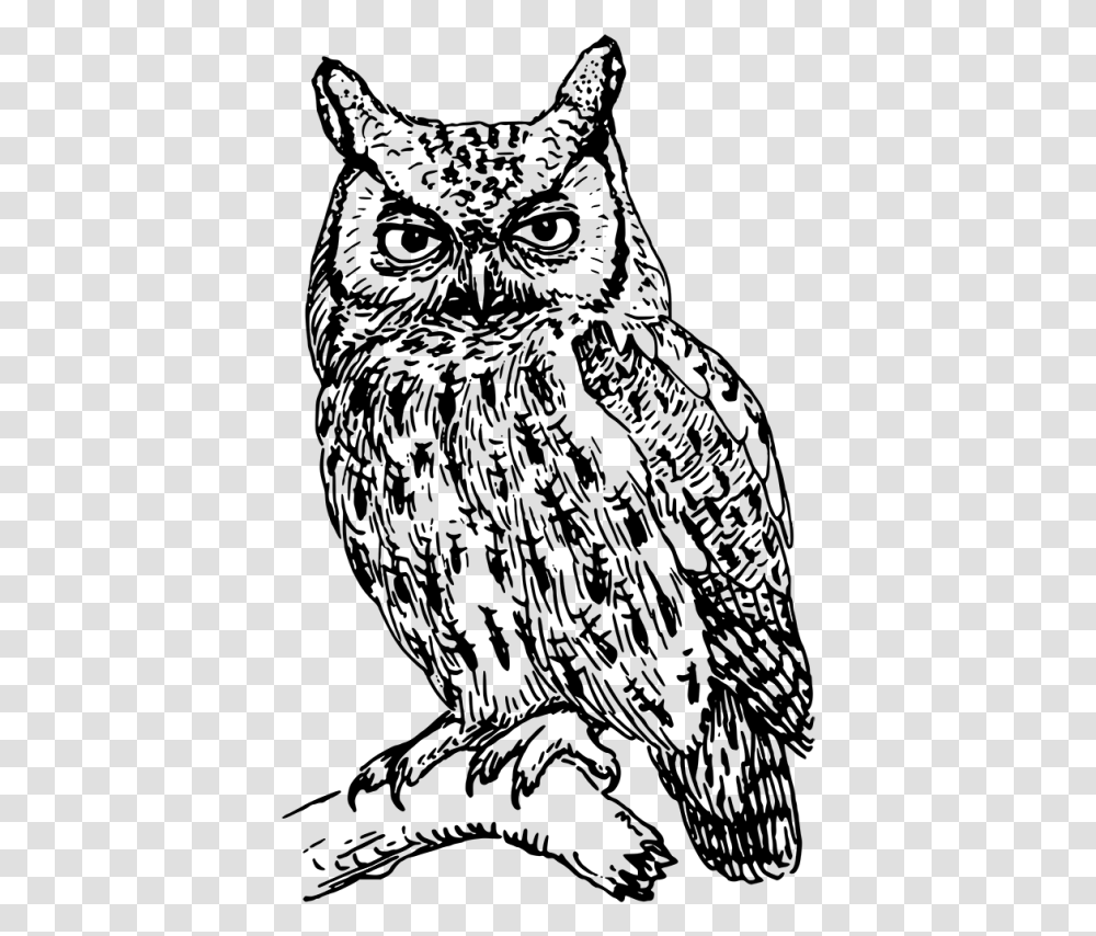Great Horned Owl Angry Owl Clipart Clip Art Black And White Owl, Gray Transparent Png