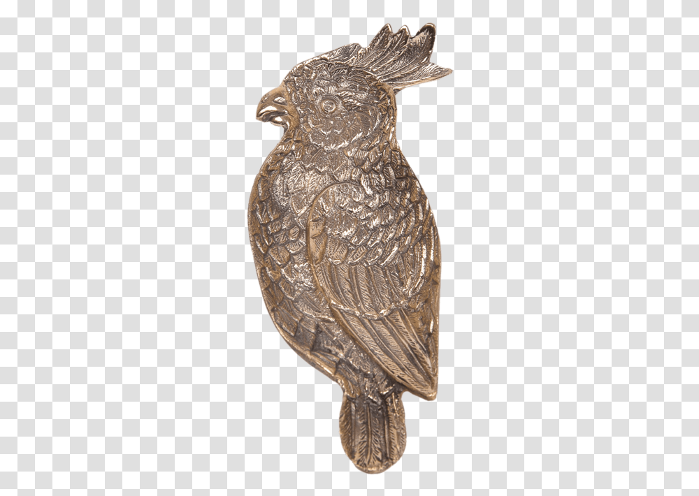 Great Horned Owl, Bronze, Bird, Animal, Coin Transparent Png