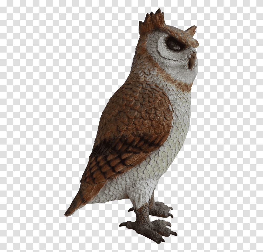 Great Horned Owl Great Horned Owl, Bird, Animal, Beak, Chicken Transparent Png