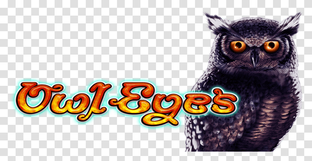 Great Horned Owl Hd Download Screech Owl, Animal, Bird, Meal, Food Transparent Png