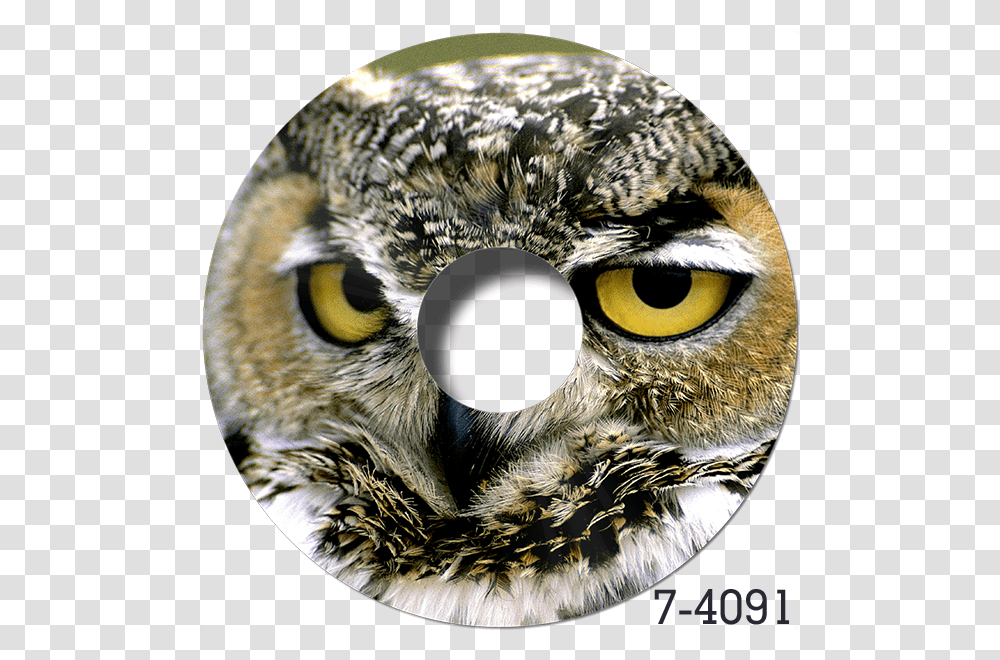 Great Horned Owl Memes, Bird, Animal, Cat, Pet Transparent Png