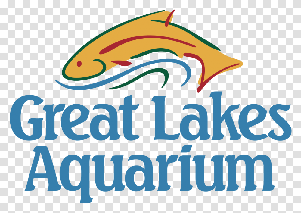 Great Lakes Aquarium, Sea Life, Animal, Mammal Transparent Png