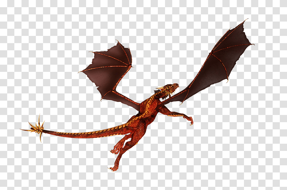Great Pictures Of Cool Dragons, Animal, Staircase, Invertebrate Transparent Png