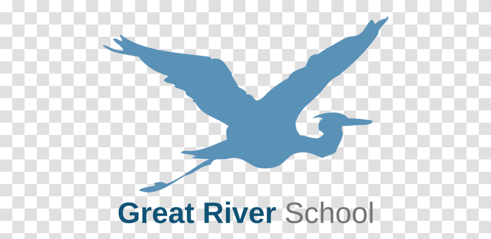 Great River School Seabird, Poster, Advertisement, Animal, Flying Transparent Png