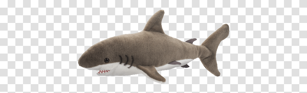 Great White Shark 22
