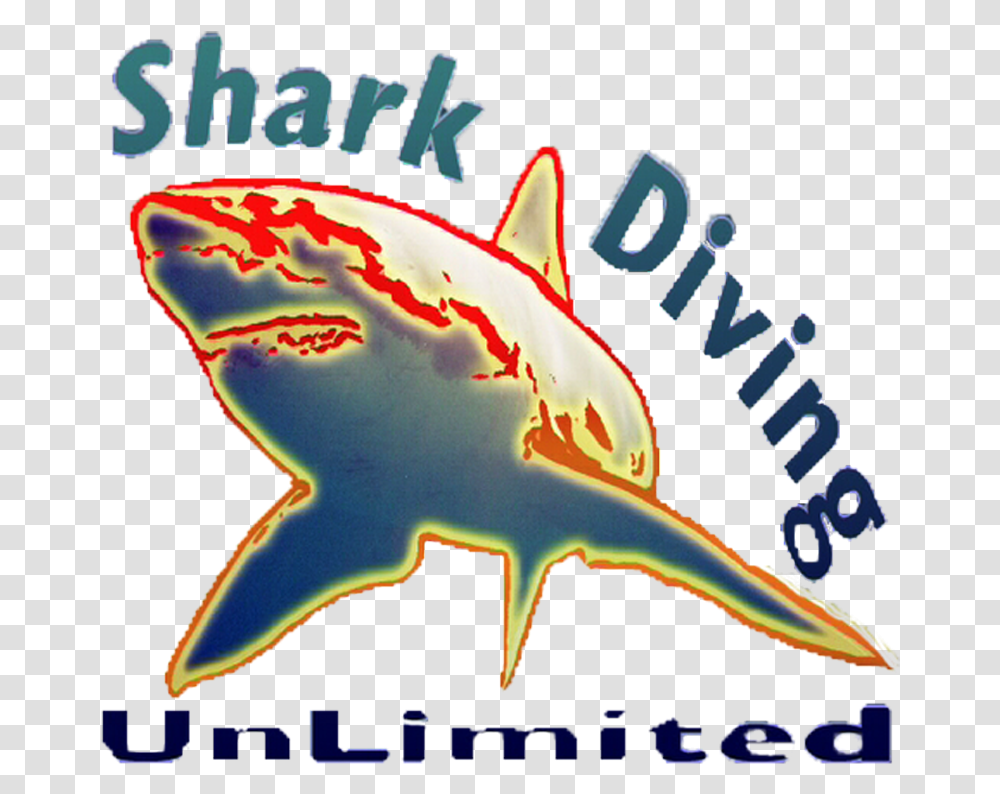 Great White Shark, Animal, Fish, Sea Life Transparent Png