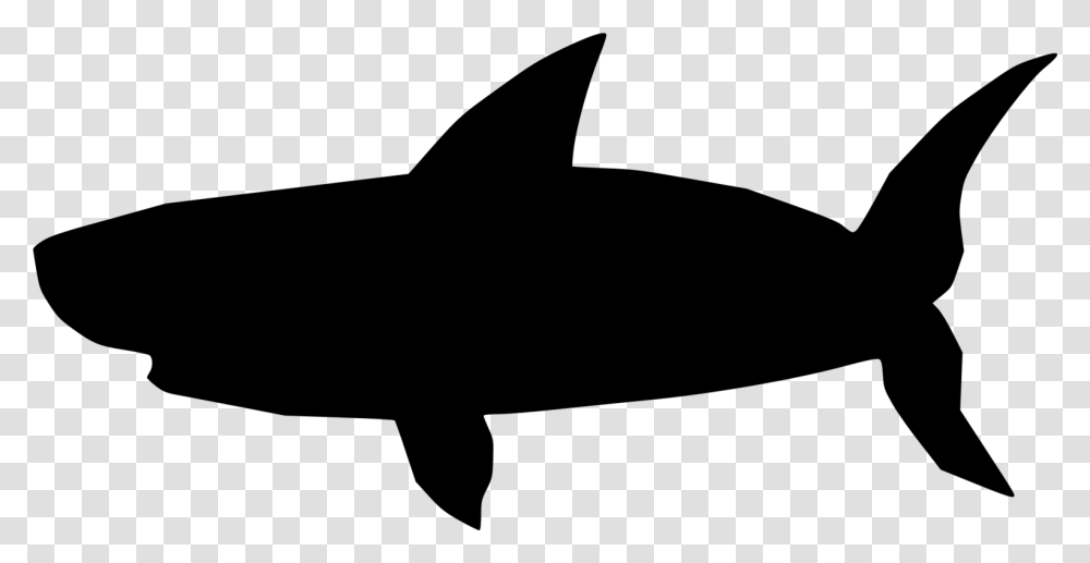 Great White Shark Bruce Hammerhead Shark Blue Shark Free, Gray Transparent Png