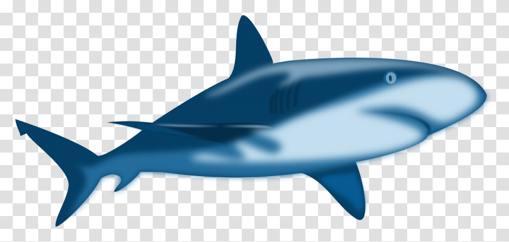 Great White Shark Bull Shark Cartilaginous Fishes Tiger Shark Free, Sea Life, Animal, Mammal, Vehicle Transparent Png