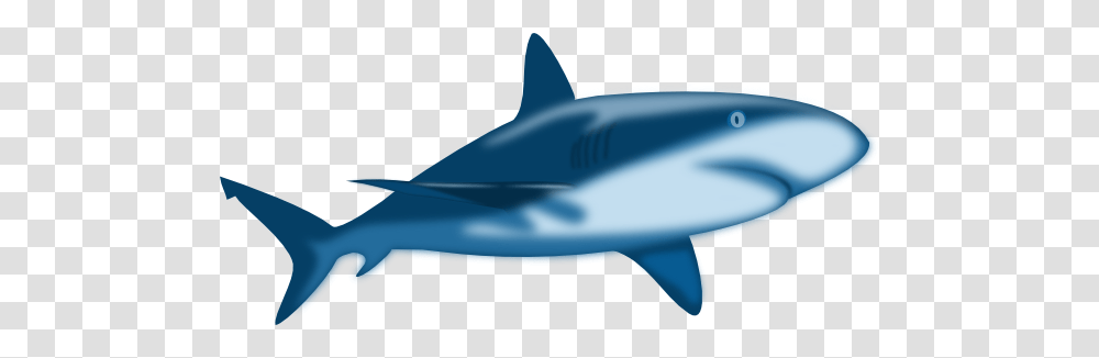 Great White Shark Clip Art, Sea Life, Fish, Animal, Mammal Transparent Png