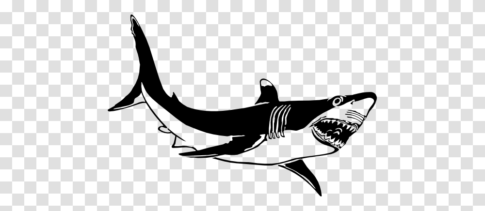 Great White Shark Clipart Black And White, Sea Life, Fish, Animal, Bird Transparent Png