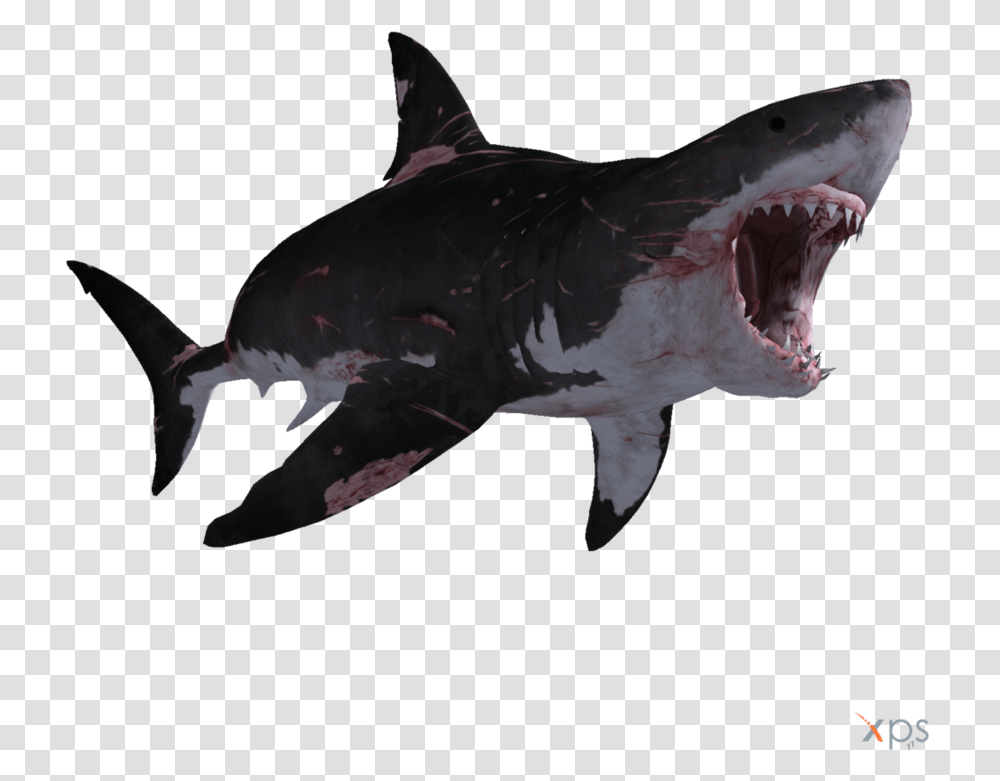 Great White Shark Clipart Depth Great White Shark, Sea Life, Fish, Animal Transparent Png