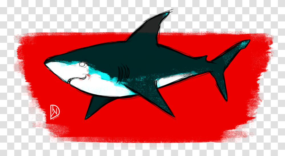 Great White Shark Clipart Download Great White Shark, Sea Life, Fish, Animal Transparent Png
