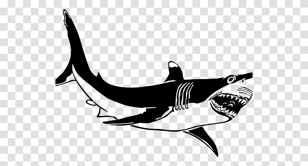 Great White Shark Clipart, Gray, World Of Warcraft Transparent Png