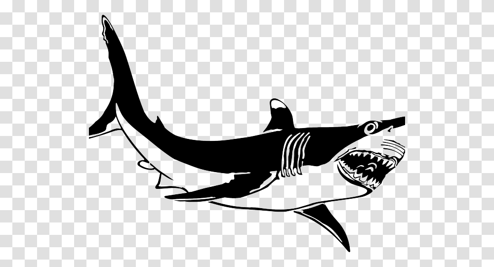 Great White Shark Clipart Sad, Sea Life, Fish, Animal Transparent Png