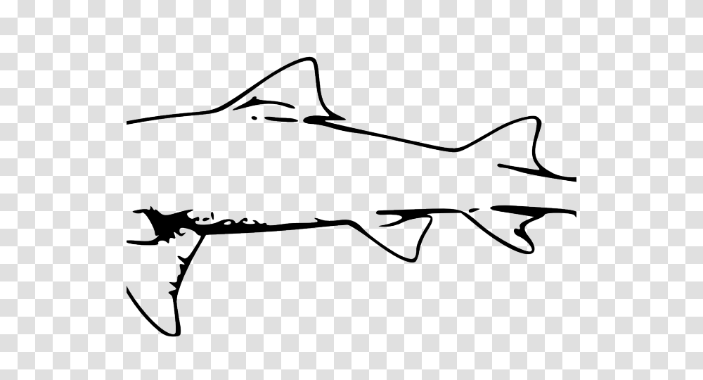 Great White Shark Clipart Sea Creature, Bow, Animal, Fish, Sea Life Transparent Png
