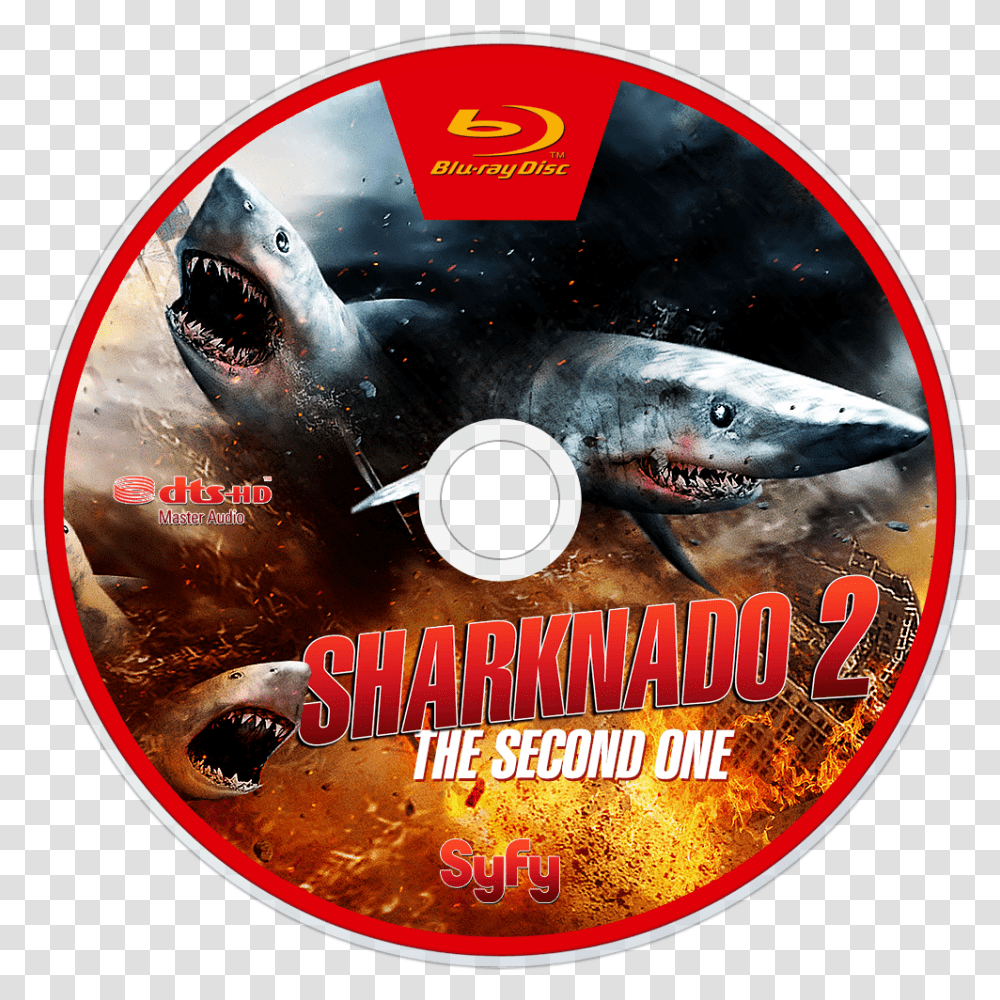 Great White Shark, Disk, Dvd Transparent Png