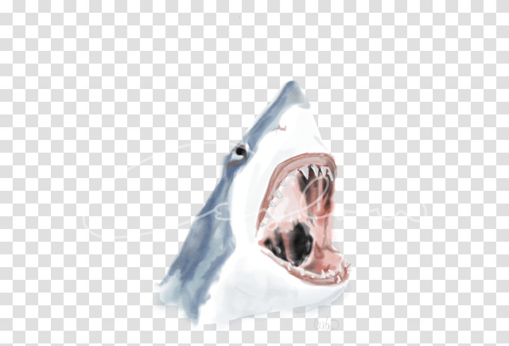 Great White Shark, Fish, Animal, Sea Life, Mouth Transparent Png