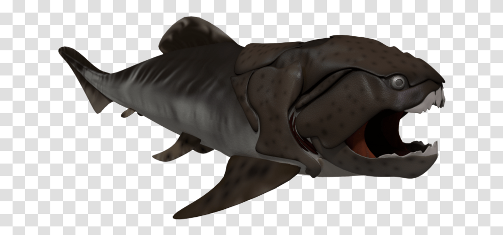 Great White Shark, Fish, Animal, Sea Life, Person Transparent Png