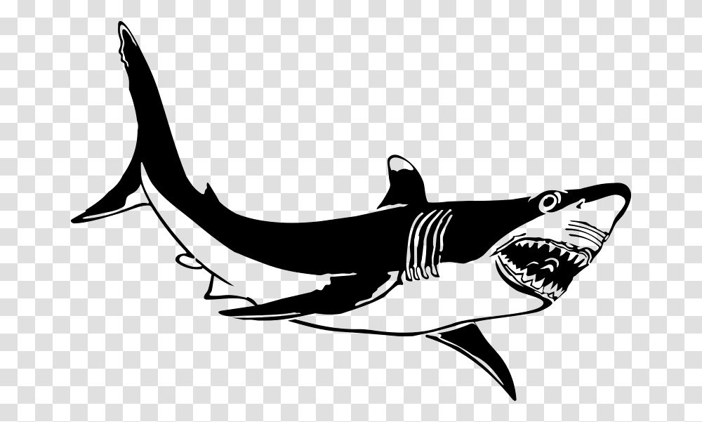 Great White Shark Free Download Vector, Gray, World Of Warcraft Transparent Png