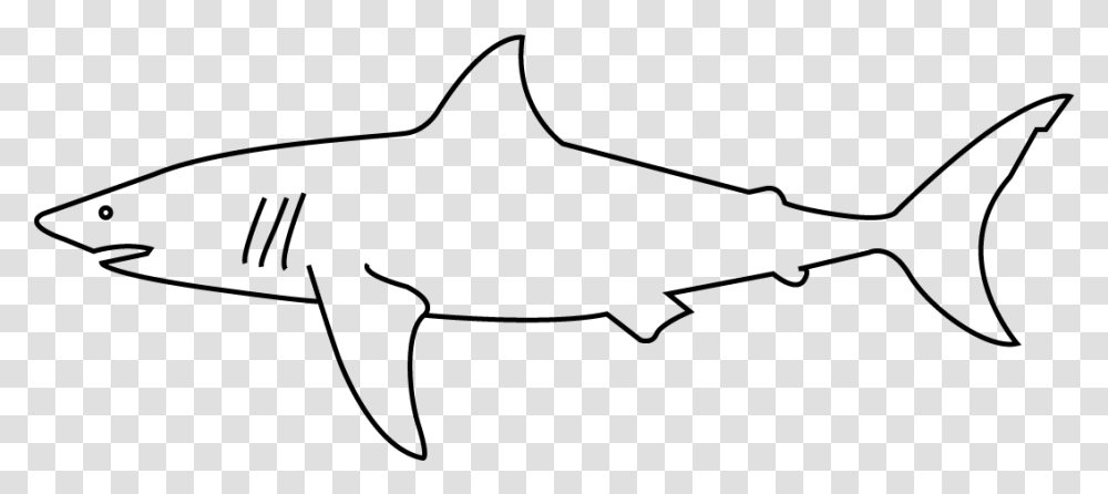 Great White Shark, Gray, World Of Warcraft Transparent Png