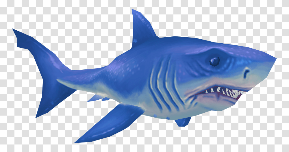 Great White Shark Great White Shark .png Blue, Sea Life, Fish, Animal Transparent Png