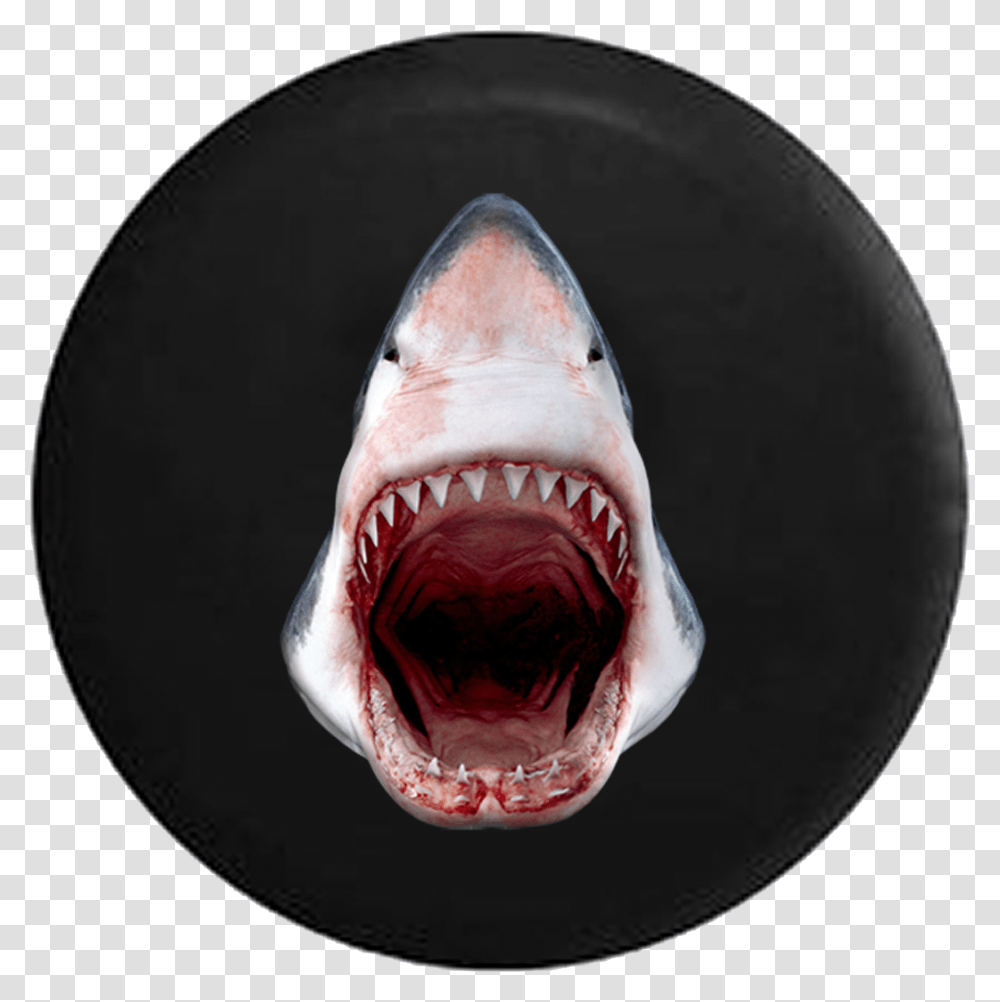 Great White Shark Jaws Open Razor Sharp Teeth Jeep Great White Shark, Fish, Animal, Sea Life, Painting Transparent Png