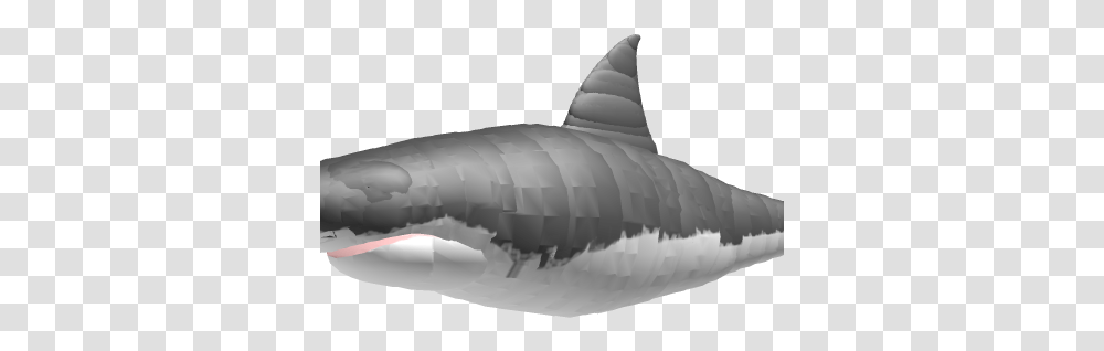 Great White Shark Roblox Tiger Shark, Sea Life, Fish, Animal, Mammal Transparent Png