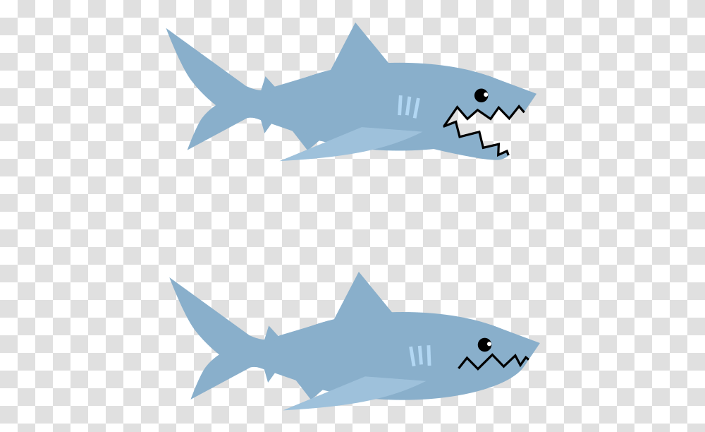 Great White Shark, Sea Life, Fish, Animal, Poster Transparent Png