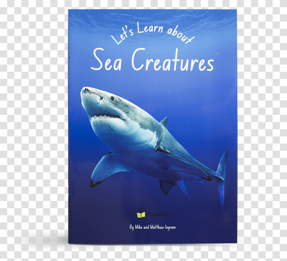 Great White Shark, Sea Life, Fish, Animal Transparent Png