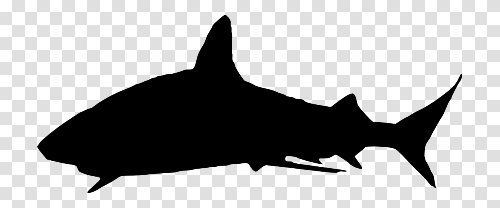 Great White Shark Silhouette Clip Art, Sea Life, Animal, Mammal, Whale Transparent Png