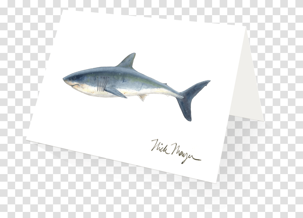 Great White Shark Tuna, Fish, Animal, Sea Life Transparent Png