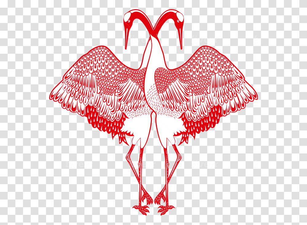 Greater Flamingo, Animal, Bird Transparent Png