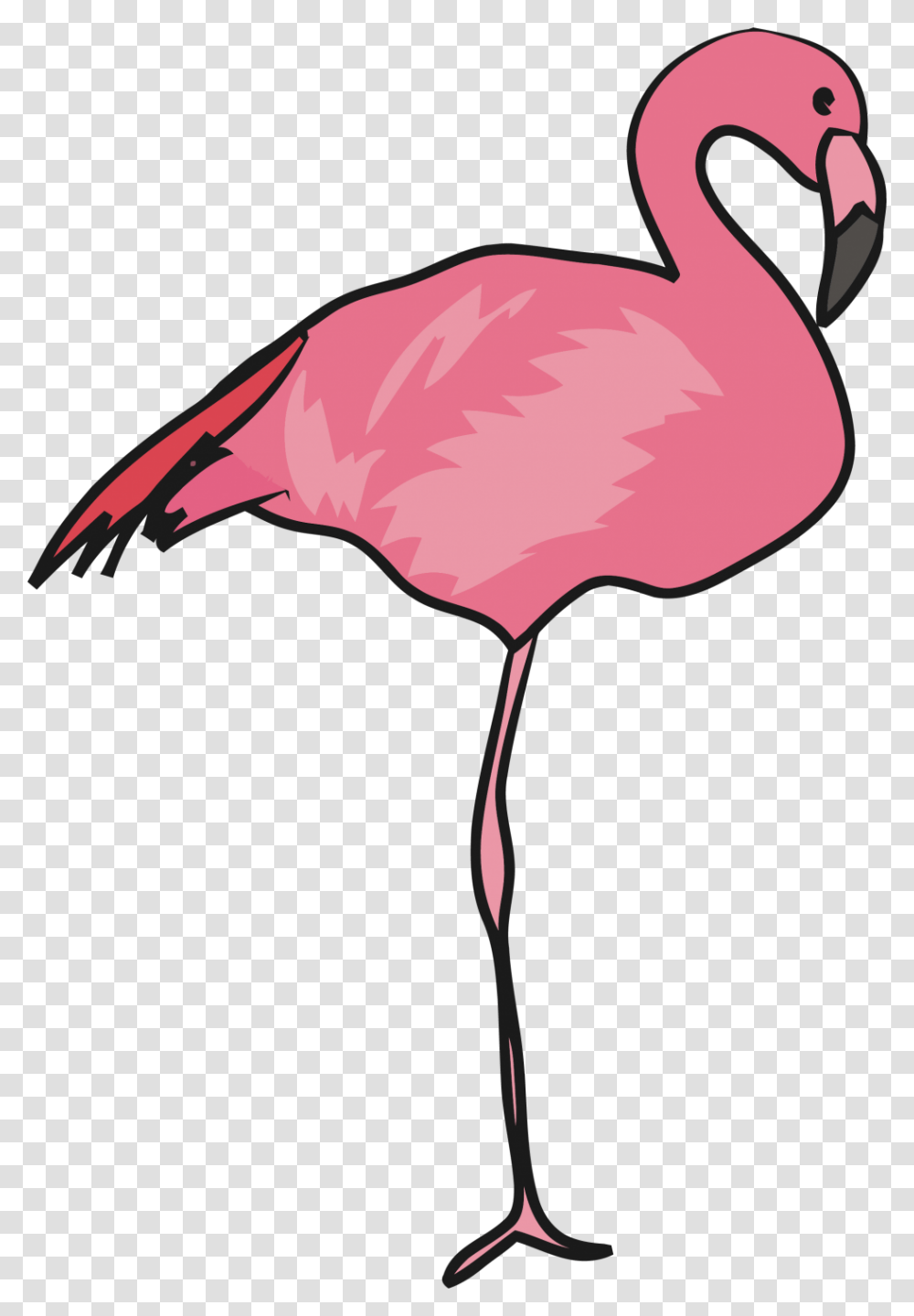 Greater Flamingo, Bird, Animal, Antelope, Wildlife Transparent Png