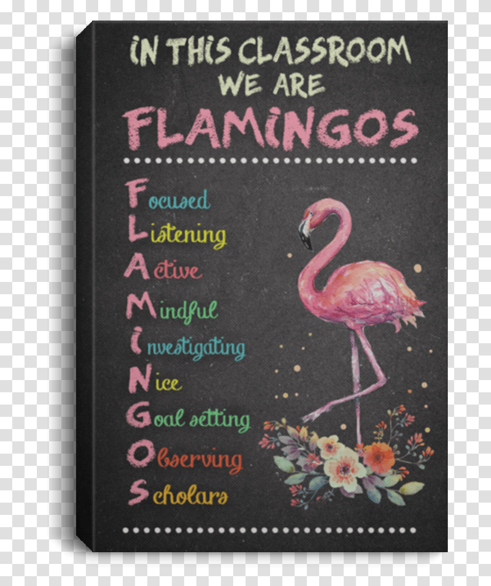 Greater Flamingo, Bird, Animal, Poster Transparent Png
