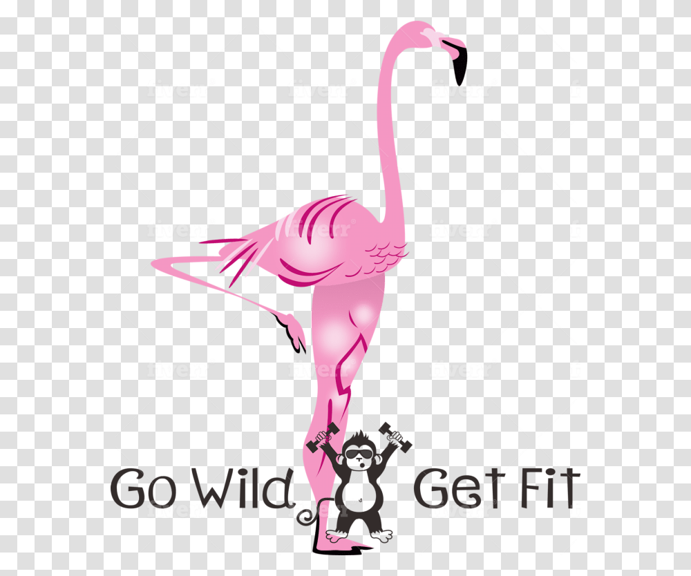 Greater Flamingo, Bow, Animal, Bird, Ostrich Transparent Png