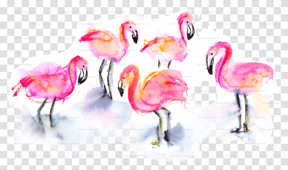 Greater Flamingo Download, Chicken, Poultry, Fowl, Bird Transparent Png