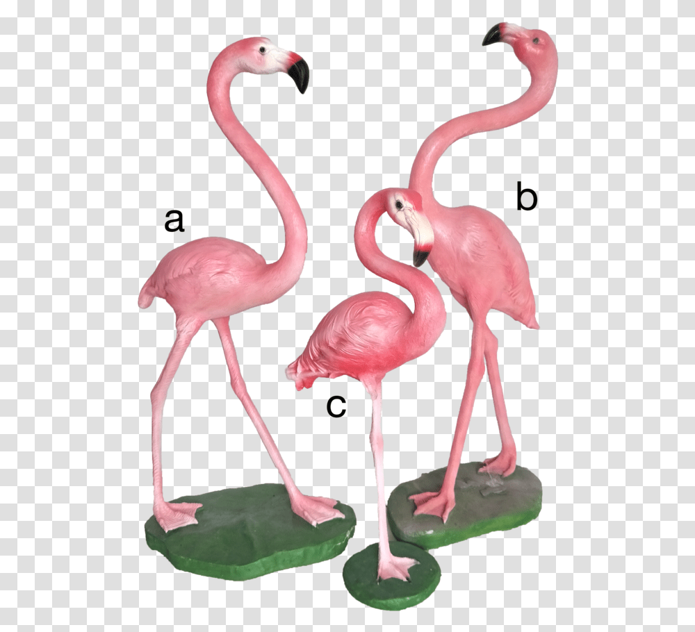 Greater Flamingo Download Greater Flamingo, Bird, Animal, Beak Transparent Png