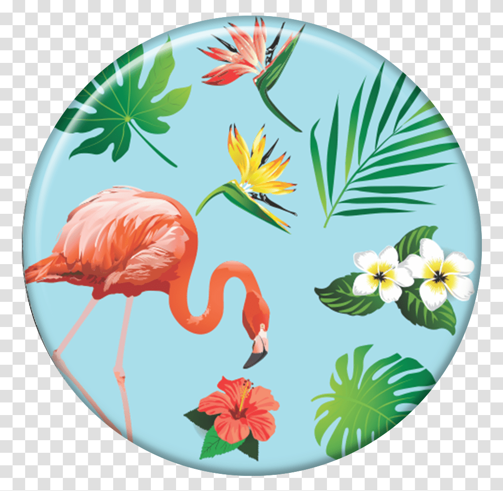 Greater Flamingo, Floral Design, Pattern Transparent Png